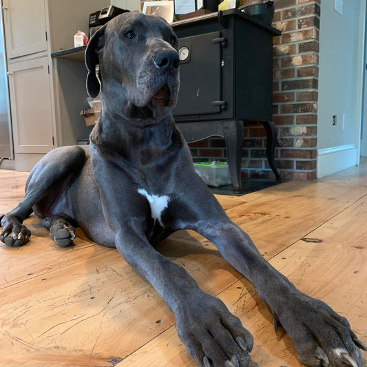 $15.50-Round UP for Rescue