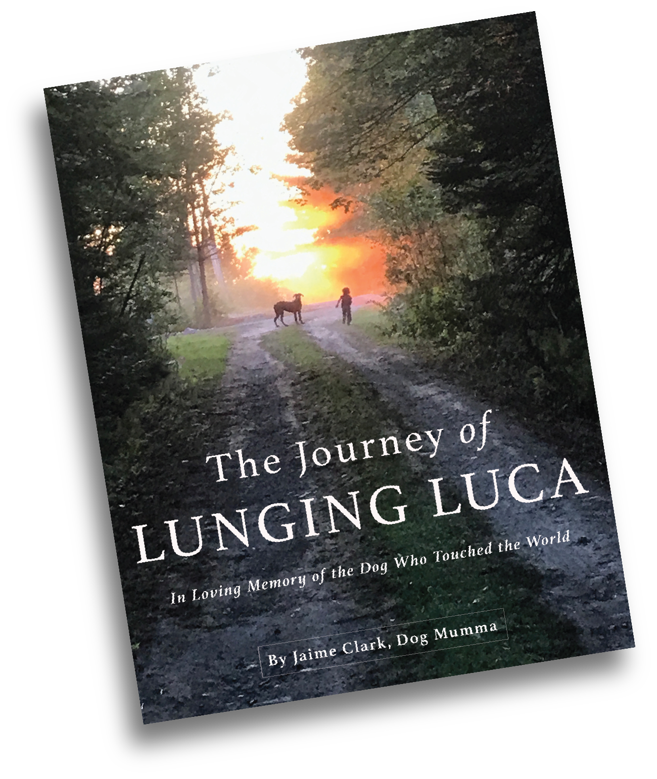 The Journey of Lunging Luca: In Loving Memory of The Dog Who Touched the World