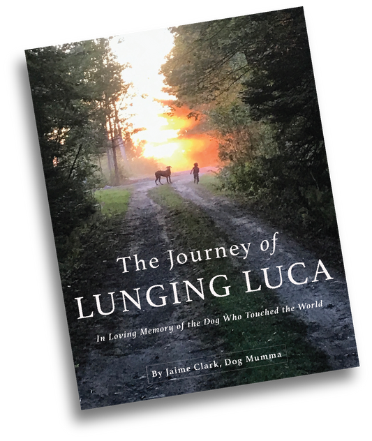 The Journey of Lunging Luca: In Loving Memory of The Dog Who Touched the World